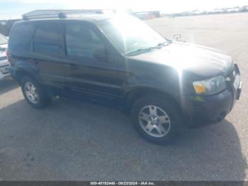  Salvage Ford Escape