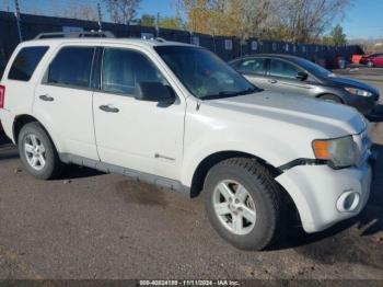  Salvage Ford Escape