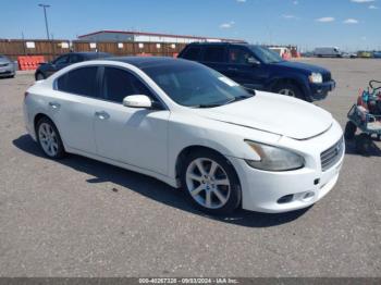  Salvage Nissan Maxima