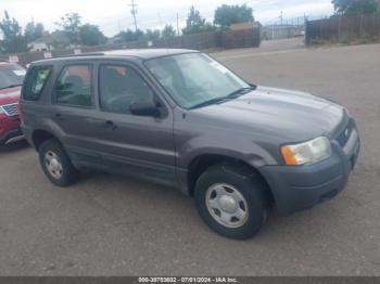  Salvage Ford Escape