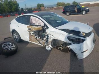  Salvage Tesla Model Y