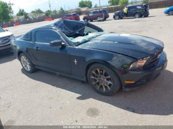  Salvage Ford Mustang