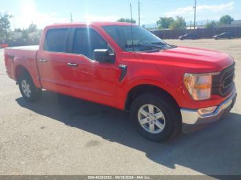  Salvage Ford F-150