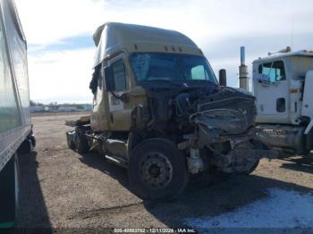  Salvage Freightliner Cascadia 125