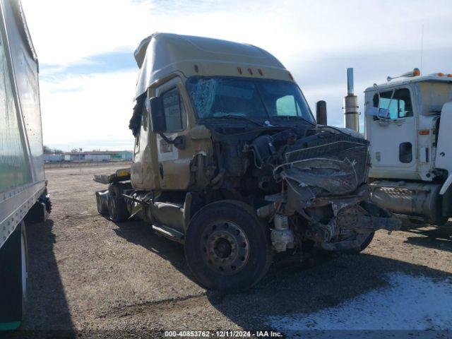  Salvage Freightliner Cascadia 125