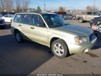  Salvage Subaru Forester