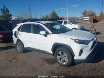  Salvage Toyota RAV4