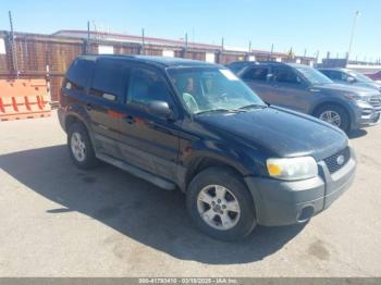  Salvage Ford Escape