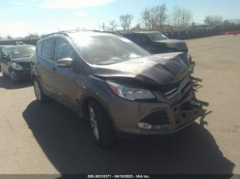  Salvage Ford Escape