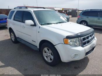  Salvage Ford Escape