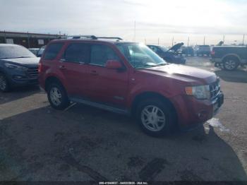  Salvage Ford Escape