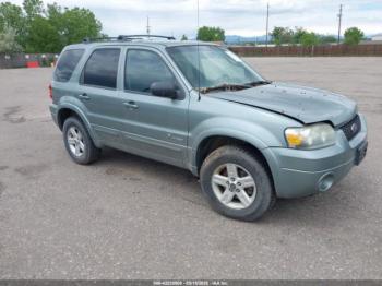  Salvage Ford Escape
