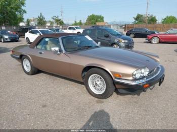  Salvage Jaguar Xjs