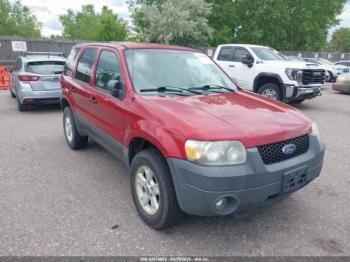  Salvage Ford Escape