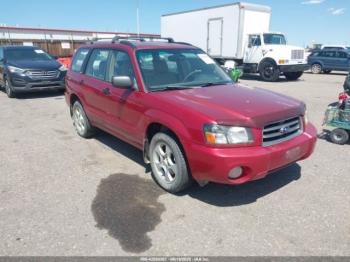  Salvage Subaru Forester