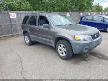  Salvage Ford Escape