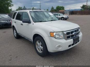  Salvage Ford Escape