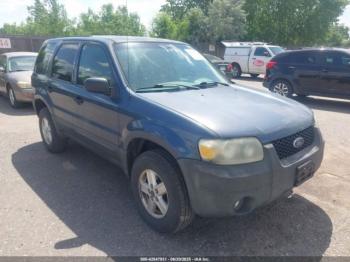  Salvage Ford Escape