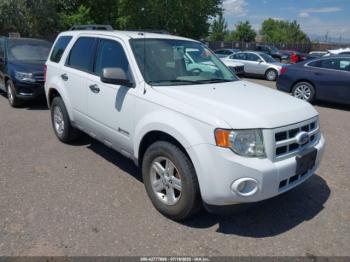  Salvage Ford Escape