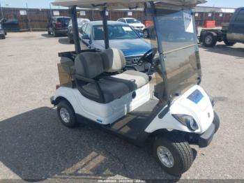  Salvage Suncor Desert Golf Cart