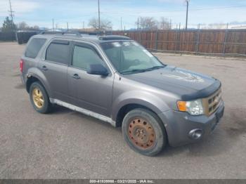  Salvage Ford Escape