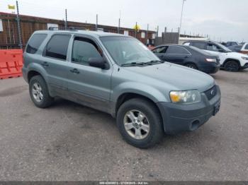  Salvage Ford Escape