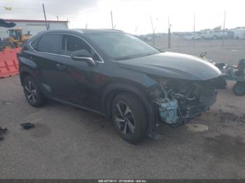  Salvage Lexus NX