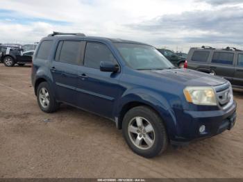  Salvage Honda Pilot
