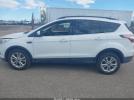 Ford Escape Sel Image 11