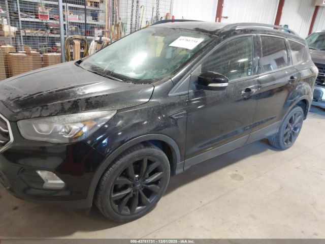 Ford Escape Titanium Image 2