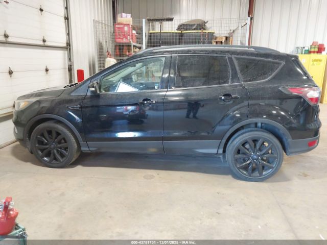 Ford Escape Titanium Image 16