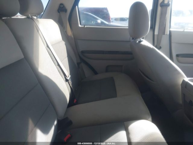 Ford Escape Xlt Image 5