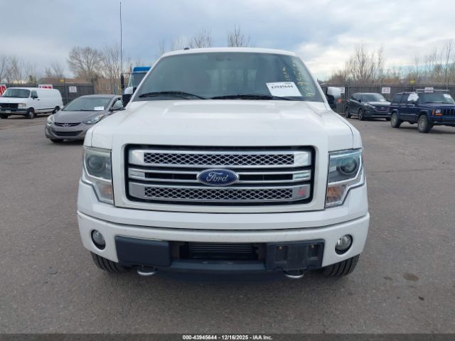 Ford F-150 Limited Image 7