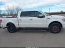 Ford F-150 Limited Image 6