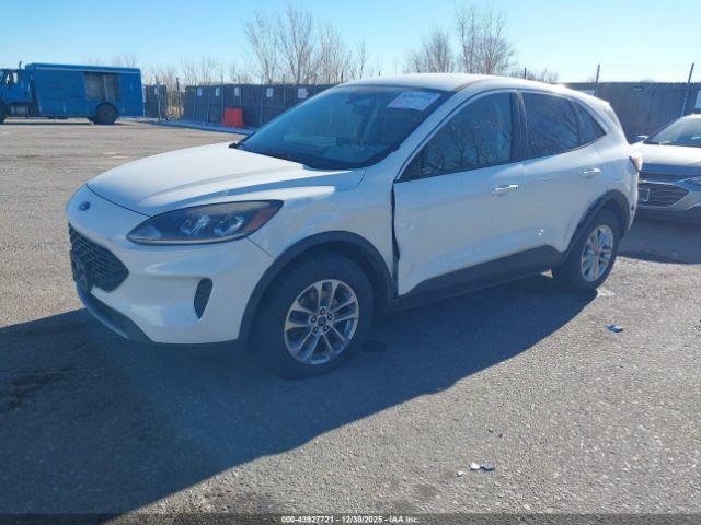 Ford Escape Se Image 4