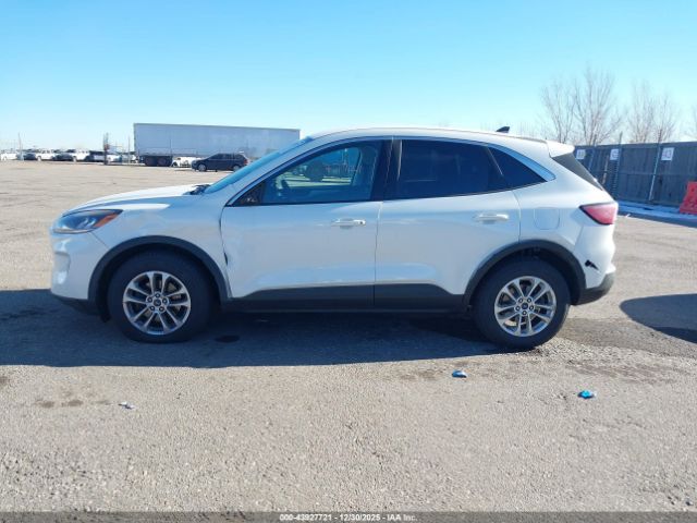 Ford Escape Se Image 15