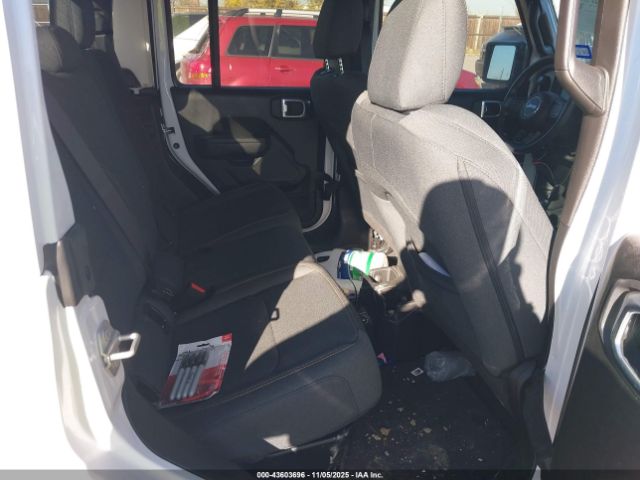 Jeep Gladiator Nighthawk Image 6