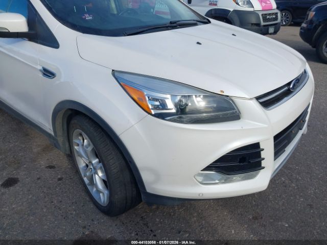 Ford Escape Titanium Image 7