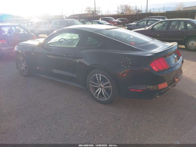 Ford Mustang Ecoboost Image 6