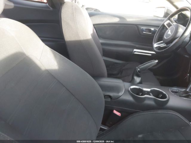 Ford Mustang Ecoboost Image 4