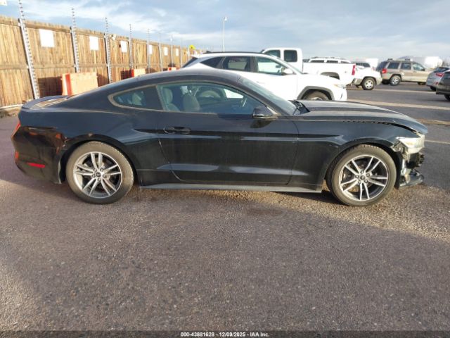 Ford Mustang Ecoboost Image 5