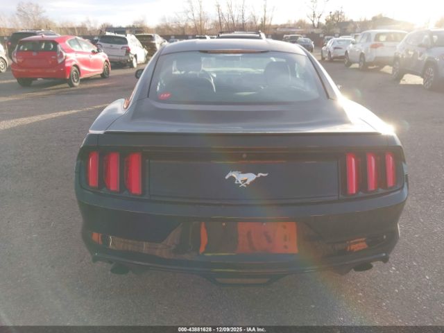 Ford Mustang Ecoboost Image 11